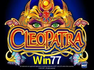 A Experiência Imersiva dos Cassinos Ao Vivo no Win77